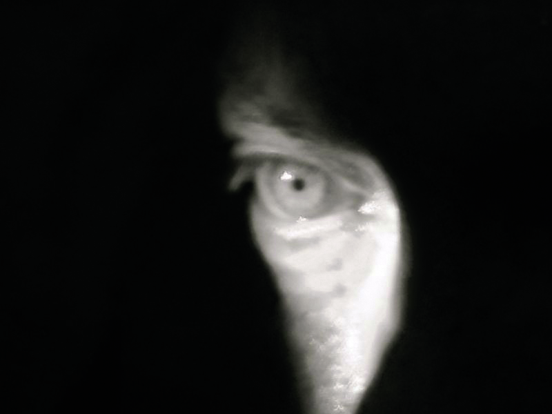 TheForbiddenRoom Udo Kier TheForbiddenRoom, eye, Udo Kier